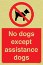 no-dogs-except-assistance-dogs~